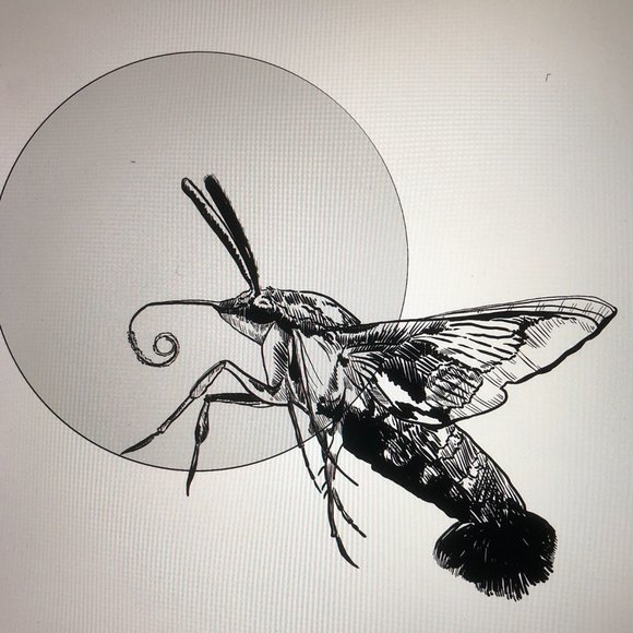 Custom Tattoo Flash Designs - Picture 7 of 14